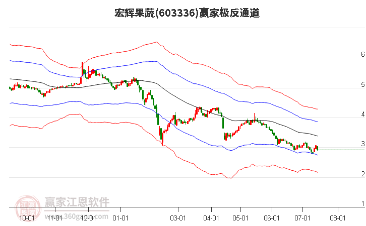 603336宏辉果蔬赢家极反通道工具