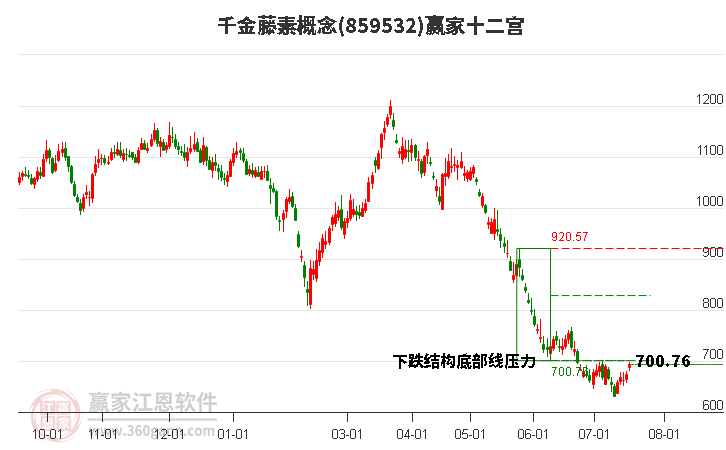 859532千金藤素赢家十二宫工具