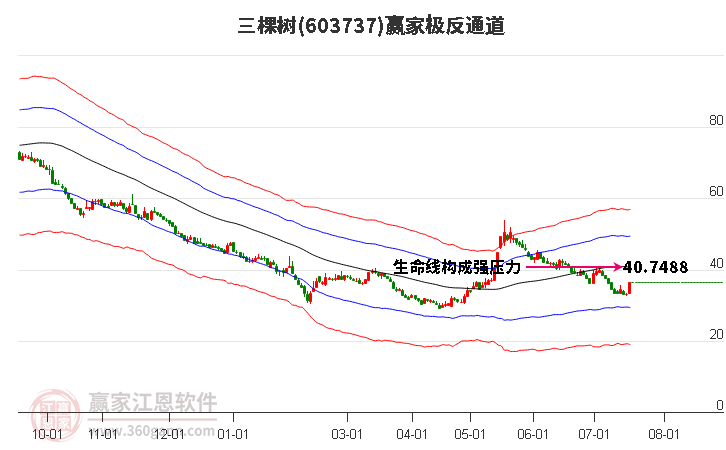 603737三棵树赢家极反通道工具