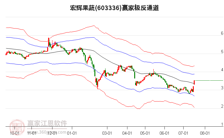 603336宏辉果蔬赢家极反通道工具