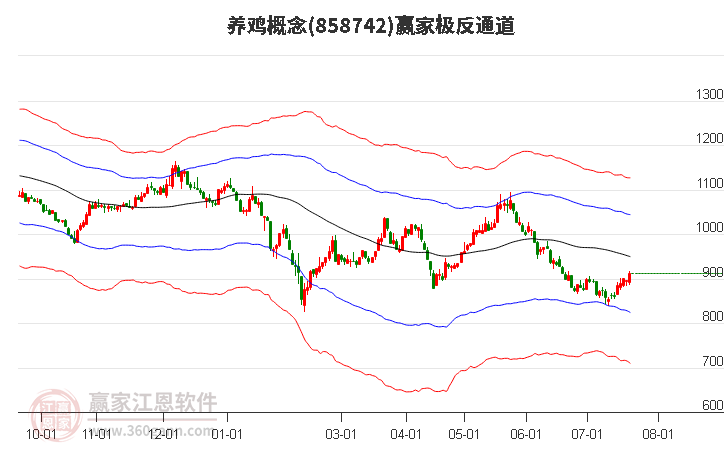 858742养鸡赢家极反通道工具