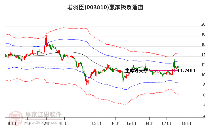 003010若羽臣赢家极反通道工具