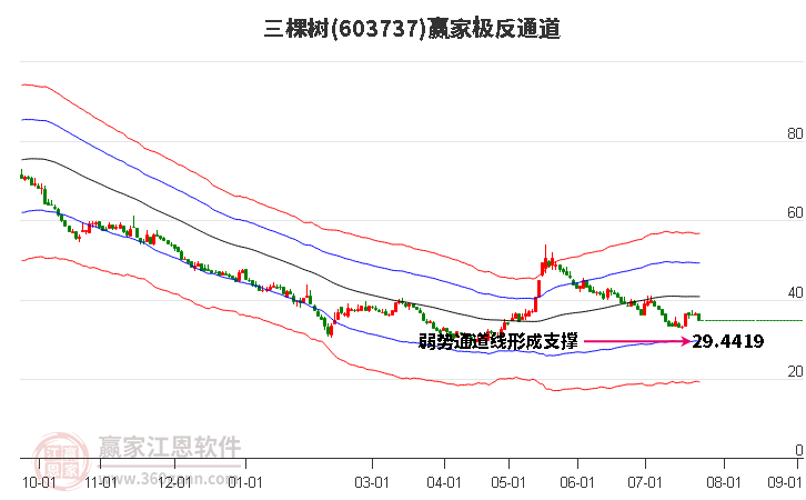 603737三棵树赢家极反通道工具