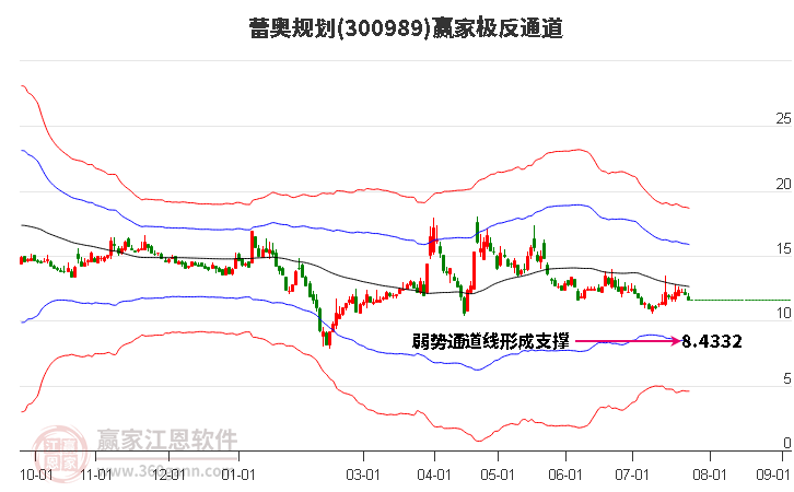 300989蕾奥规划赢家极反通道工具