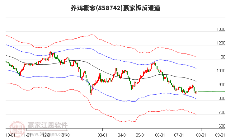 858742養(yǎng)雞贏家極反通道工具