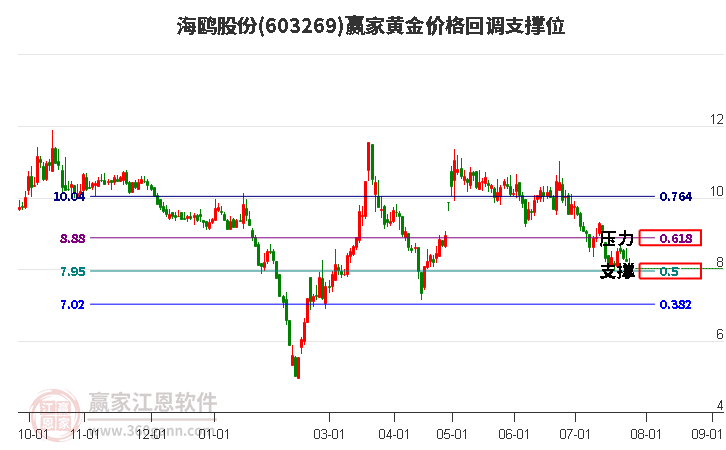 海鸥股份