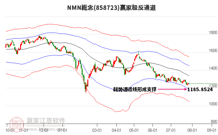 858723NMN赢家极反通道工具