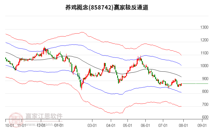 858742养鸡赢家极反通道工具