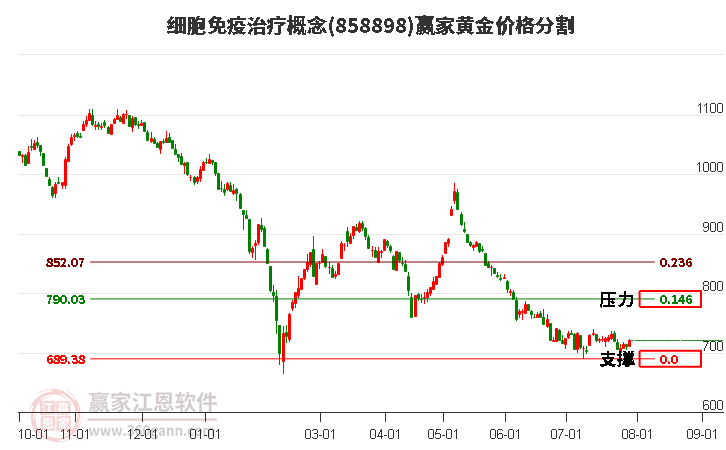 细胞免疫治疗概念黄金价格分割工具