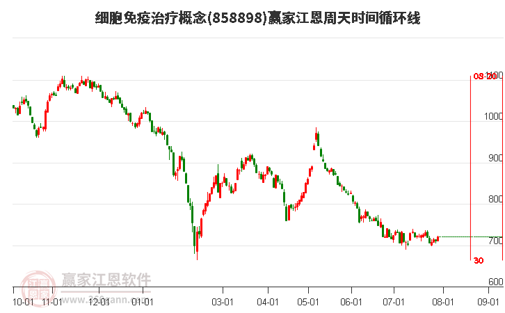 细胞免疫治疗概念江恩周天时间循环线工具