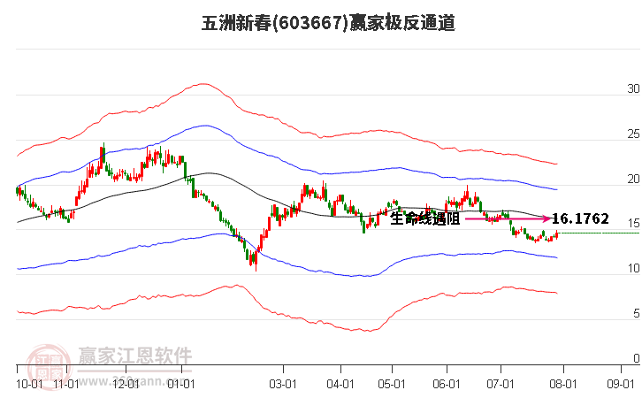 603667五洲新春贏家極反通道工具