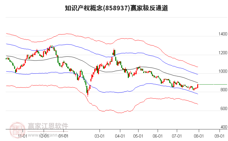 858937知识产权赢家极反通道工具