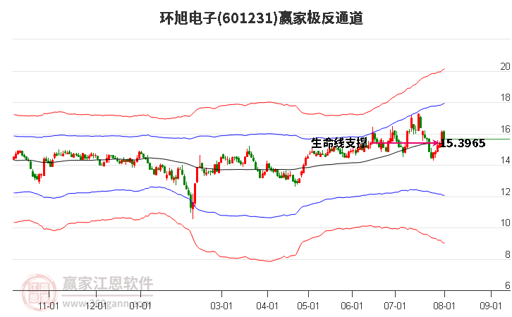 环旭电子