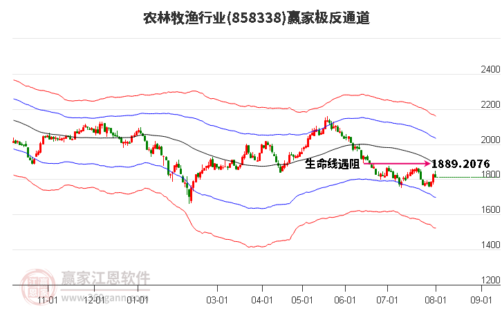 858338农林牧渔赢家极反通道工具