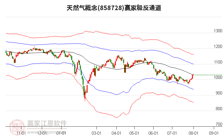 858728天然气赢家极反通道工具