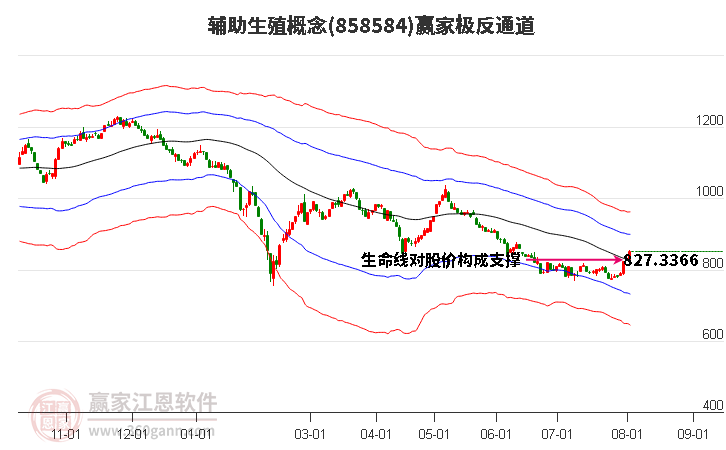 858584辅助生殖赢家极反通道工具