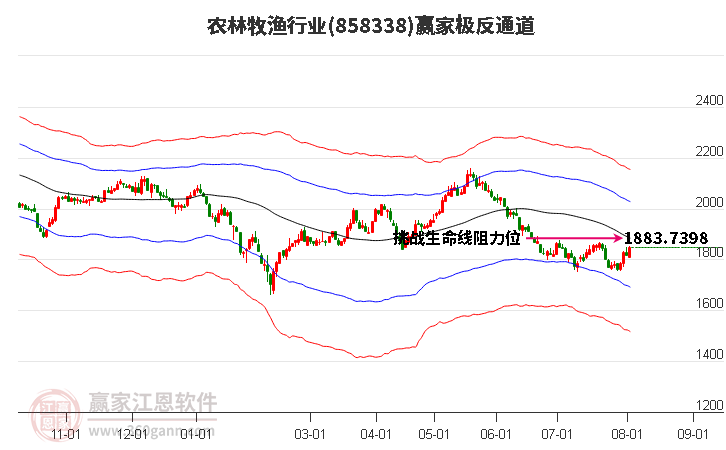 858338农林牧渔赢家极反通道工具