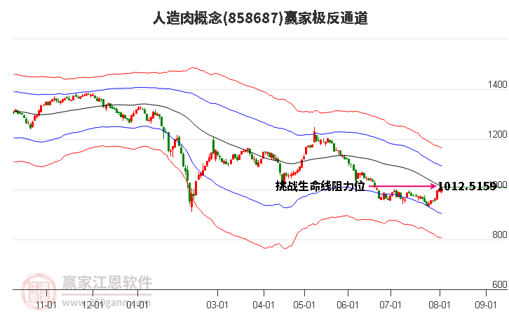 858687人造肉赢家极反通道工具