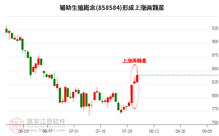 辅助生殖形成上涨两颗星形态