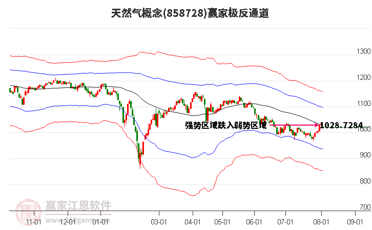 858728天然气赢家极反通道工具