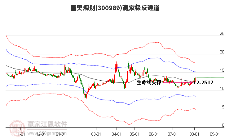 300989蕾奥规划赢家极反通道工具