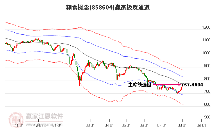 858604粮食赢家极反通道工具