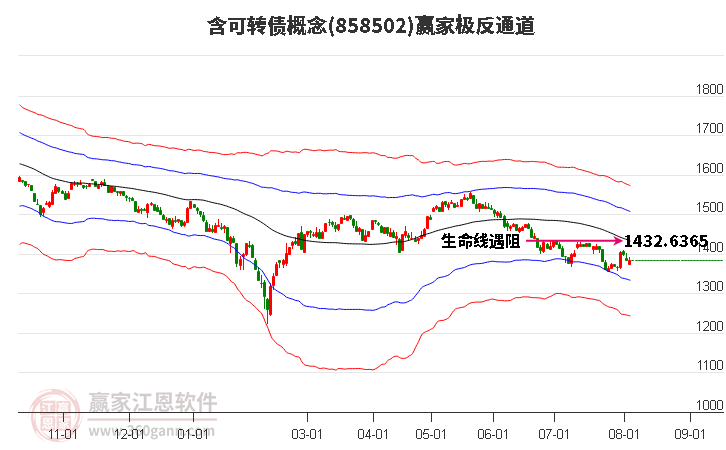 858502含可转债赢家极反通道工具