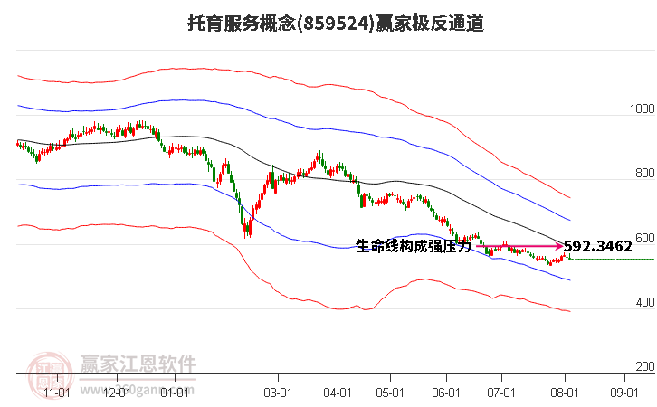 859524托育服务赢家极反通道工具