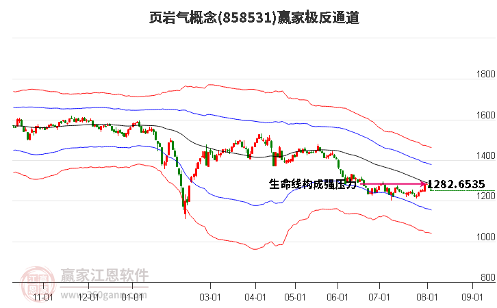 858531页岩气赢家极反通道工具