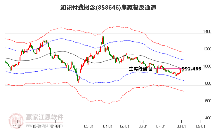 858646知识付费赢家极反通道工具