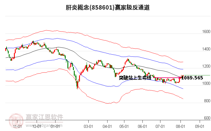 858601肝炎赢家极反通道工具