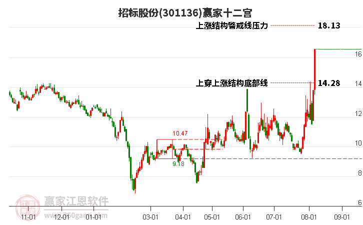 301136招标股份赢家十二宫工具