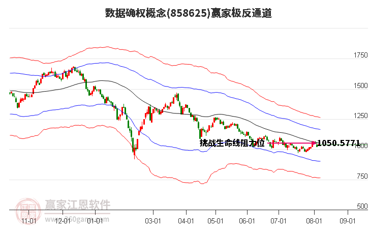 858625数据确权赢家极反通道工具