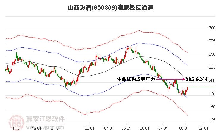 600809山西汾酒赢家极反通道工具