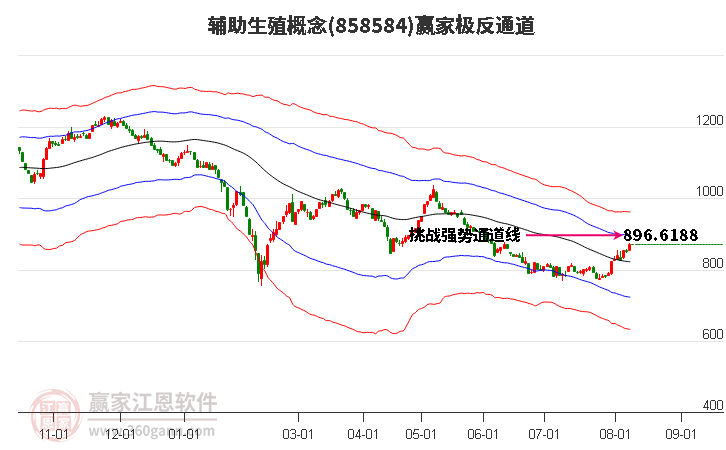 858584辅助生殖赢家极反通道工具