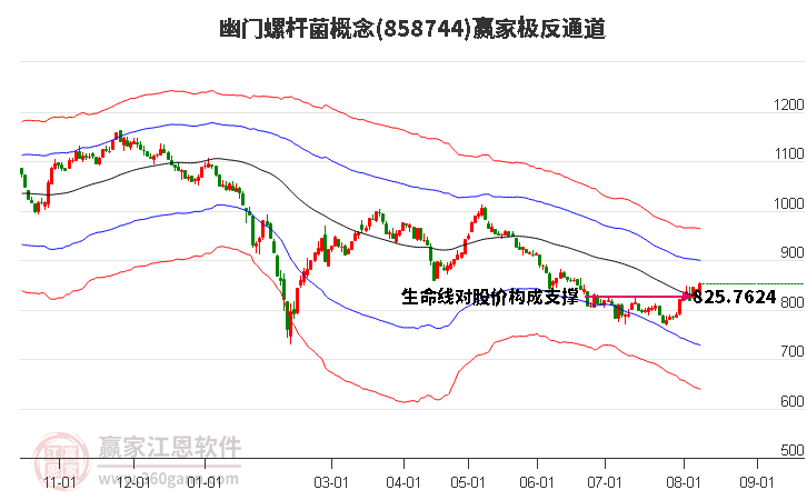 858744幽门螺杆菌赢家极反通道工具