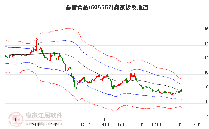 605567春雪食品赢家极反通道工具