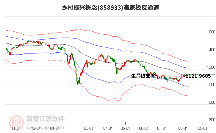 858933乡村振兴赢家极反通道工具