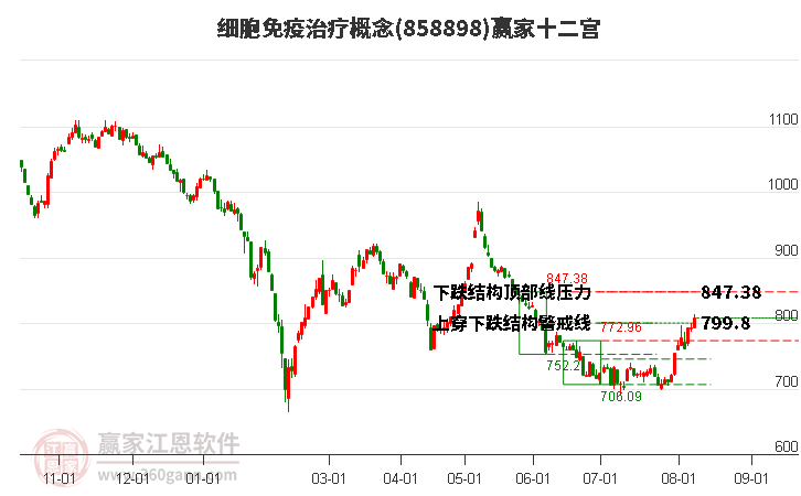 858898细胞免疫治疗赢家十二宫工具