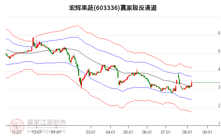 603336宏辉果蔬赢家极反通道工具