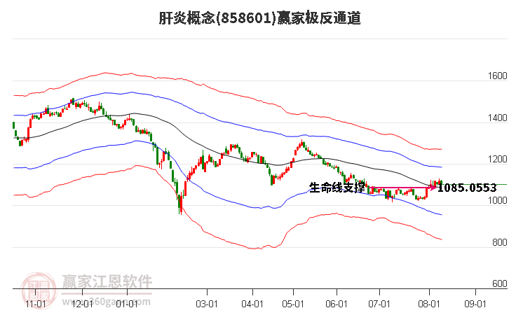 858601肝炎赢家极反通道工具