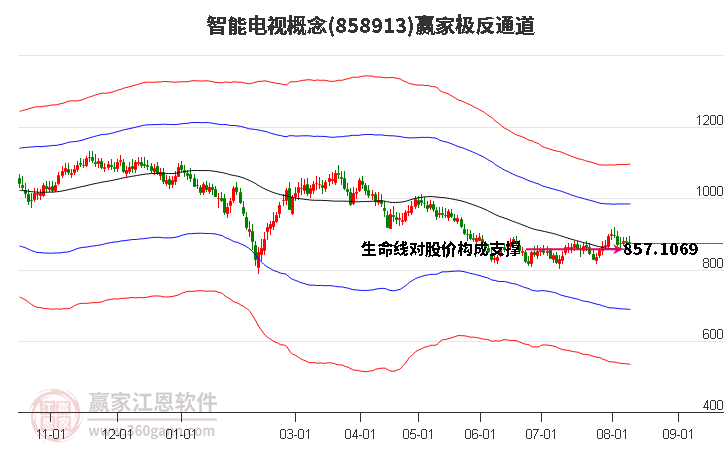 858913智能电视赢家极反通道工具