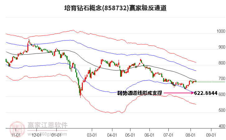 858732培育钻石赢家极反通道工具