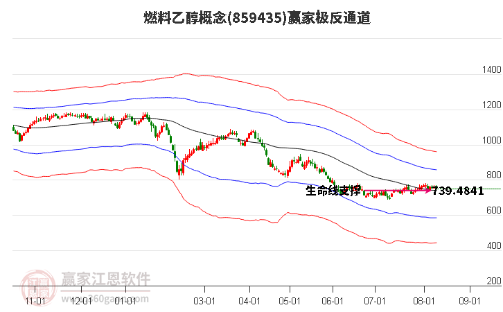 859435燃料乙醇赢家极反通道工具