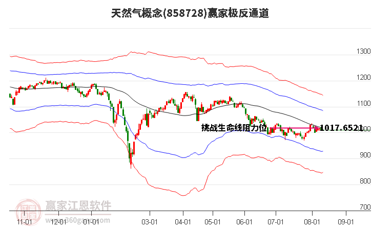 858728天然气赢家极反通道工具