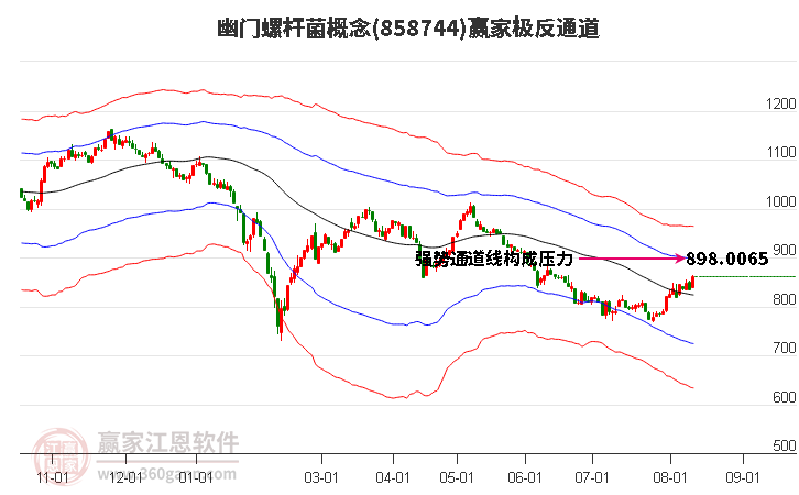 858744幽门螺杆菌赢家极反通道工具