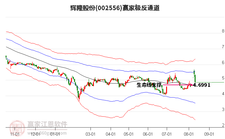 002556辉隆股份赢家极反通道工具