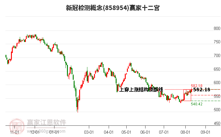 858954新冠检测赢家十二宫工具