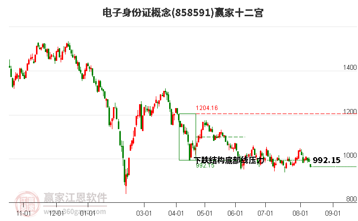 858591电子身份证赢家十二宫工具