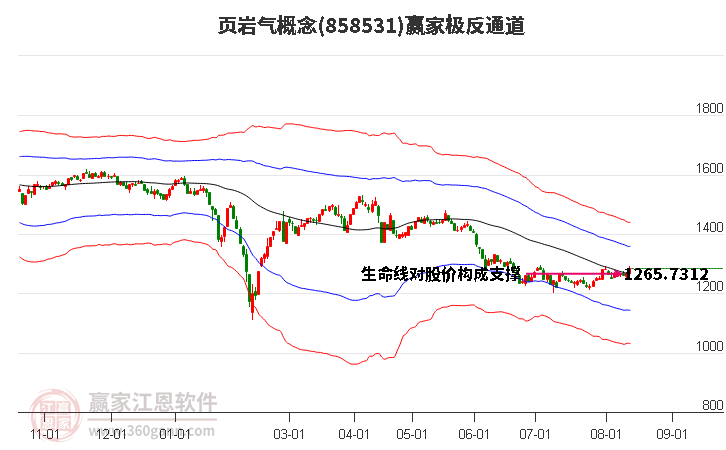 858531页岩气赢家极反通道工具